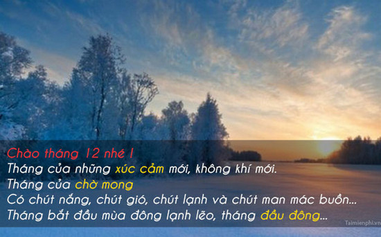 1653827003 946 hinh anh chao thang 12 lam stt