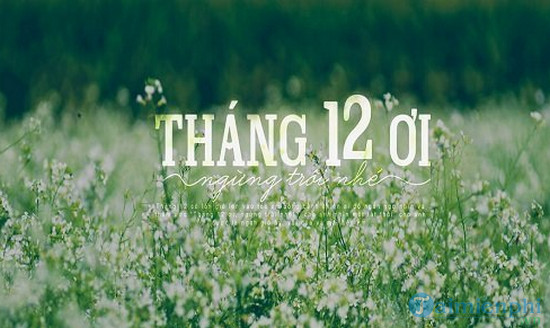 hinh anh chao thang 12 lam stt 15