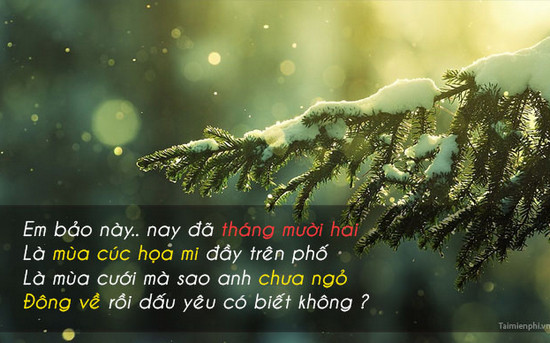 hinh anh chao thang 12 lam stt 5