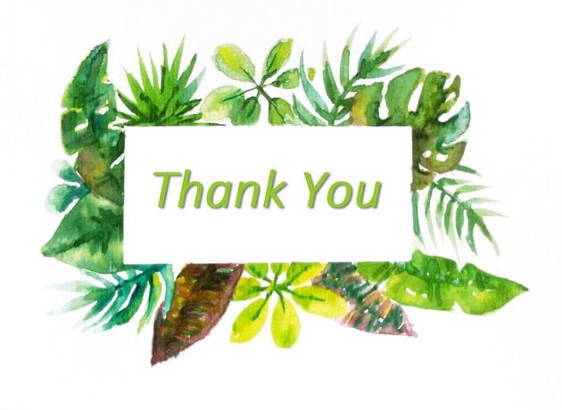 Thank You For Watching Images  Browse 1577 Stock Photos Vectors and  Video  Adobe Stock