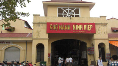 Cho Ninh Hiep O Dau 6 Kinh Nghiem San Hang