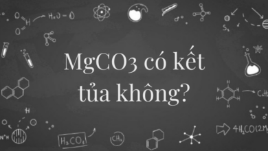 MgCO3 Co Ket Tua Khong Dau Hieu Nhan Biet MgCO3