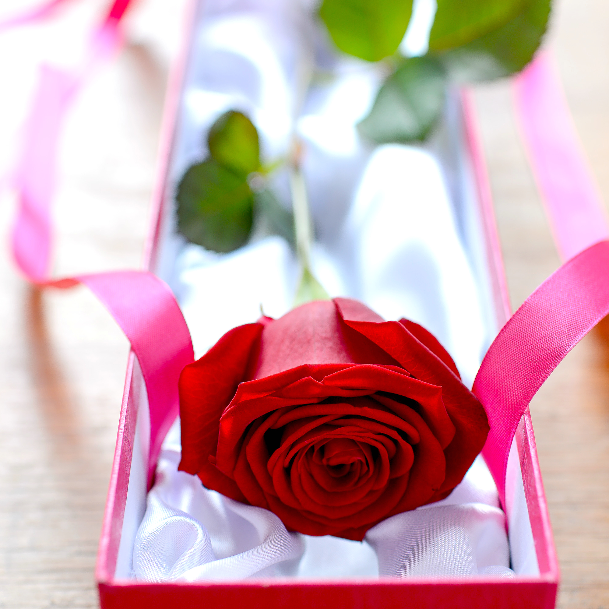 Hình ảnh hoa hồng valentine đẹp nhất