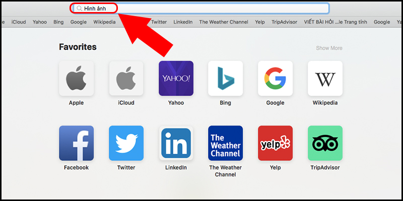 Trình duyệt Safari trên MacBook