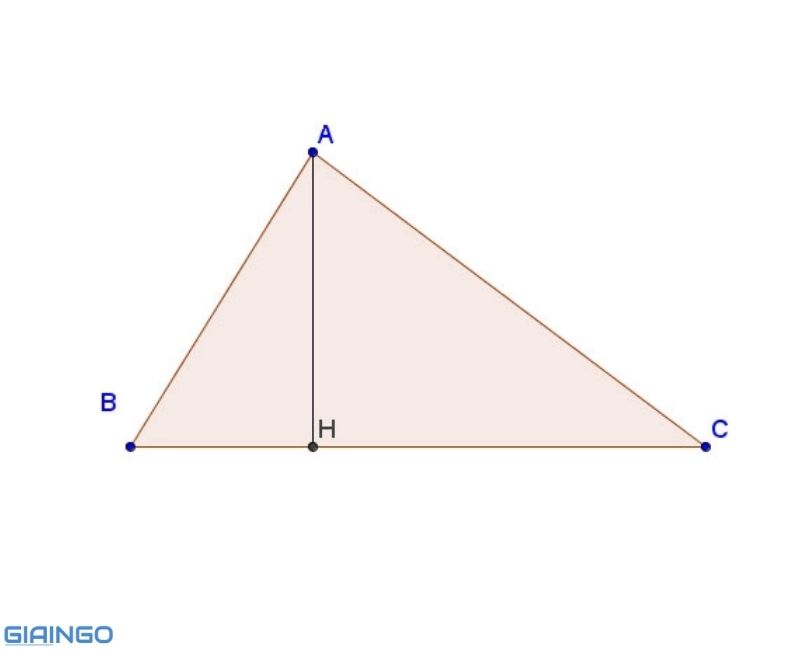1658352881 988 duong cao trong tam giac can 1