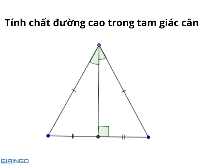 1658352882 763 duong cao trong tam giac can 2