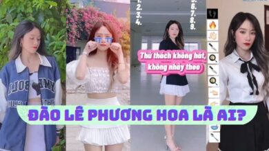 Dao Le Phuong Hoa la ai Tieu su hot Tiktoker