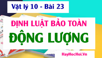 Dinh luat bao toan Dong luong Cong thuc tinh va 390x220 1