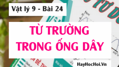 Tu truong trong ong day Cach van dung Quy tac 390x220 1