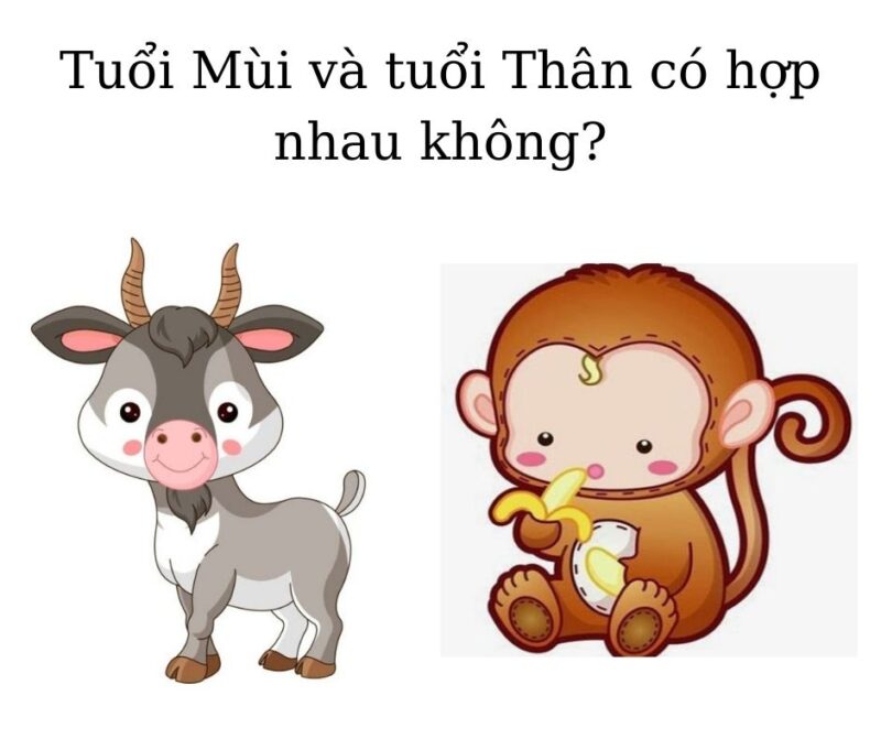 Tuoi Mui va tuoi Than co hop nhau khong 2