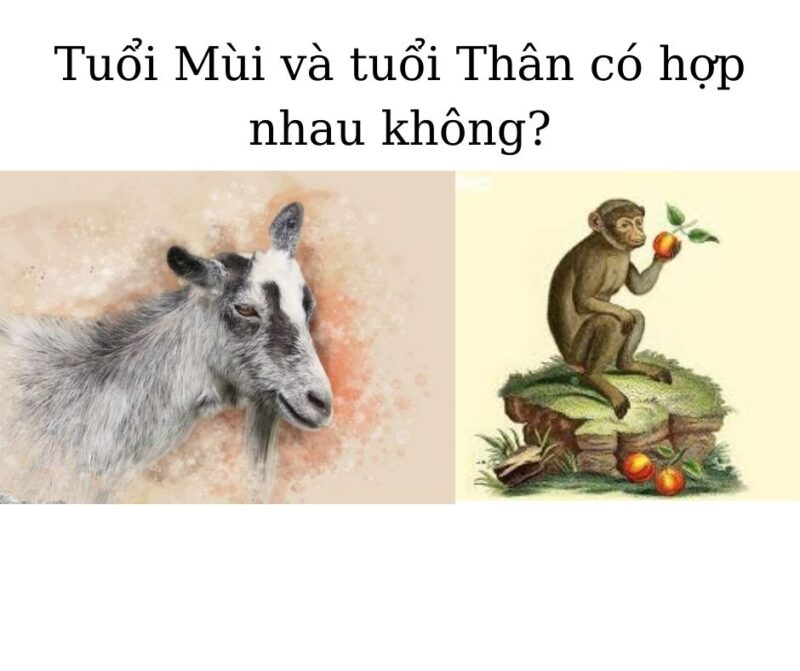 Tuoi Mui va tuoi Than co hop nhau khong