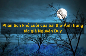 Phân tích khổ cuối bài thơ Ánh trăng – Nguyễn Duy