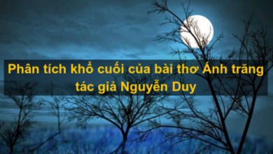 Phân tích khổ cuối bài thơ Ánh trăng – Nguyễn Duy