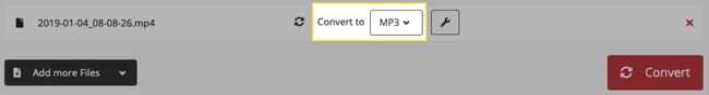 Confirm the MP3 file format on the Cloud Convert website.