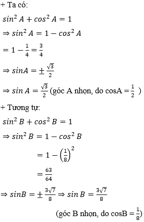{displaystyle {frac {sin A}{20))={frac {sin 40^{circ )){24)).}