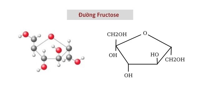 duong fructose 2