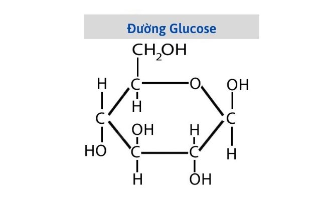 duong glucose