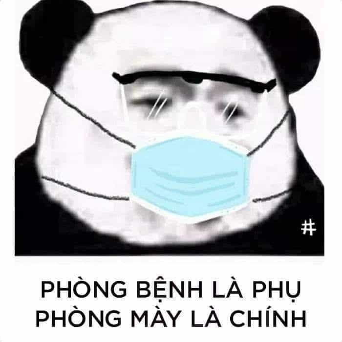 gau truc deo khau trang phong benh la phu phong may la chinh