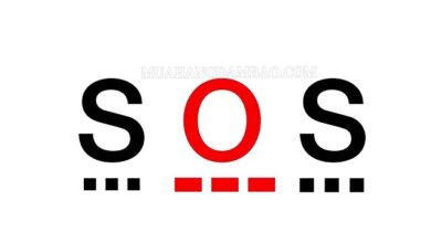 SOS nghĩa là gì? Khi nào nên sử dụng SOS?