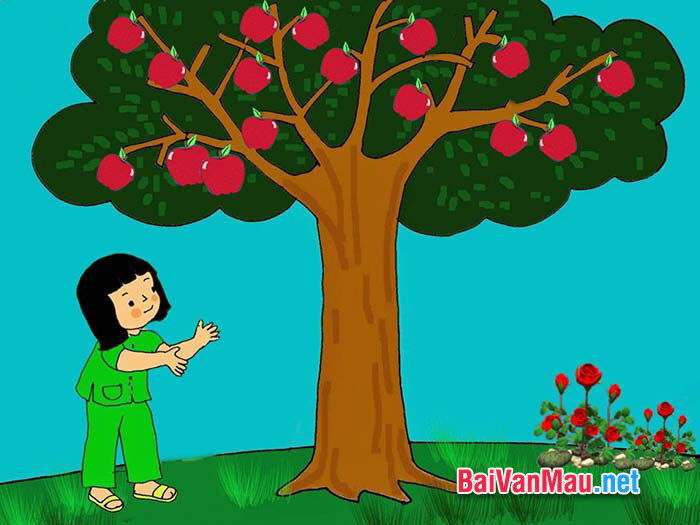 Bài văn chứng minh câu tục ngữ ăn quả nhớ kẻ trồng cây