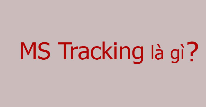 MS Tracking là gì? Ms tracking thi online là gì?