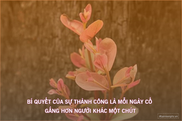 stt hay cong viec 1