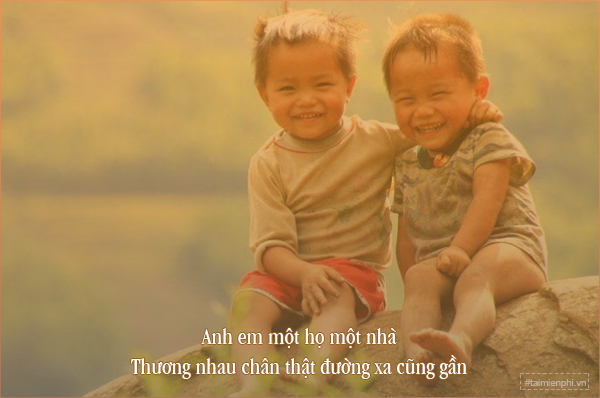 stt ve tinh anh em ruot thit xa hoi hay hai huoc 2