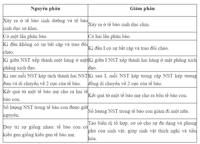 su khac nhau giua nguyen phan va giam phan