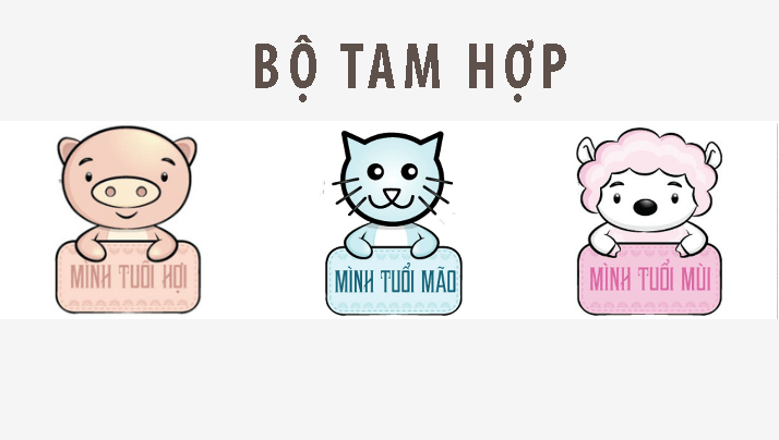 tam hop tuoi mui