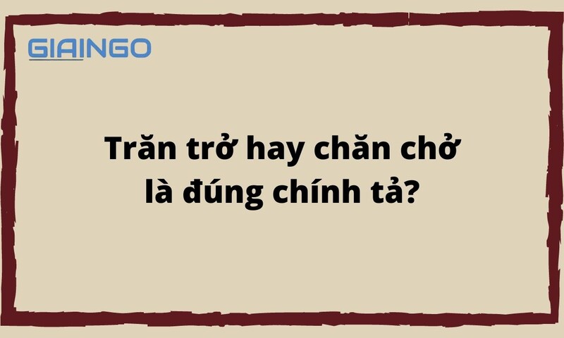 tran tro hay chan cho 7