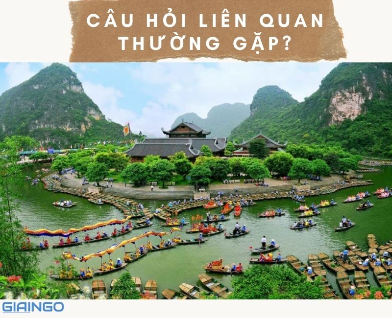 vi sao lon duoc nuoi nhieu o dong bang song hong