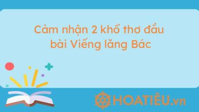 Cam nhan 2 kho tho dau bai Vieng lang Bac