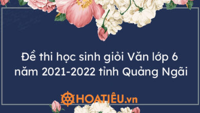 De thi hoc sinh gioi Van lop 6 nam 2021 2022