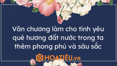 Hay chung minh van chuong da lam cho tinh yeu