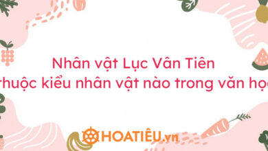 Nhan vat Luc Van Tien thuoc kieu nhan vat nao