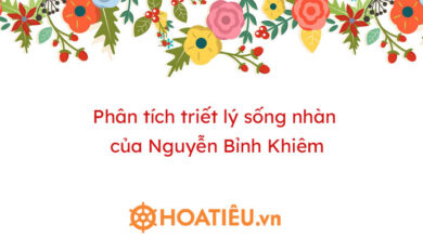 Phan tich triet ly song nhan cua Nguyen Binh Khiem