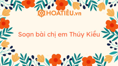 Soan bai chi em Thuy Kieu ngan gon Chi