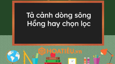 Ta canh dong song Hong hay chon loc