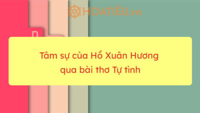 Tam su cua Ho Xuan Huong qua bai tho Tu