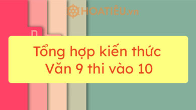 Tong hop kien thuc Van 9 thi vao 10