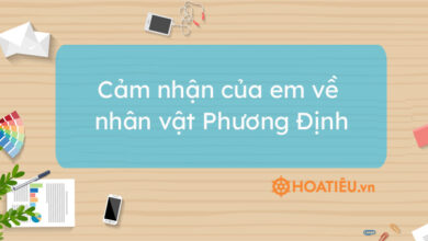 Top 10 bai cam nhan ve nhan vat Phuong Dinh