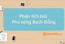 Top 10 mau phan tich Phu song Bach Dang sieu