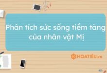 Top 10 mau phan tich suc song tiem tang cua