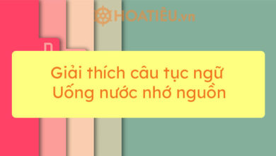 Top 11 bai giai thich cau tuc ngu Uong nuoc
