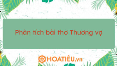 Top 14 bai phan tich Thuong vo cua Tu Xuong