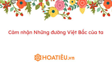 Top 3 bai cam nhan Nhung duong Viet Bac cua