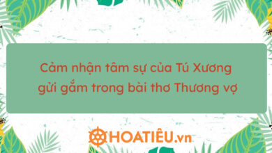 Top 3 bai cam nhan tam su cua Tu Xuong