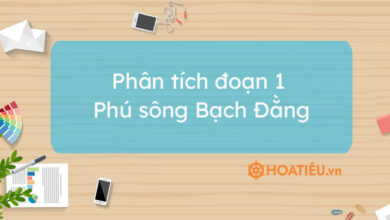 Top 3 bai phan tich doan 1 Phu song Bach