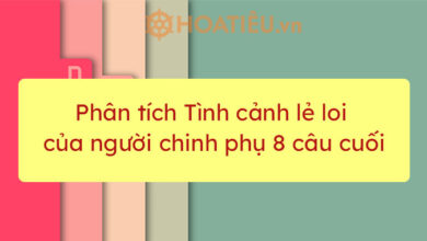 Top 4 bai phan tich Tinh canh le loi cua