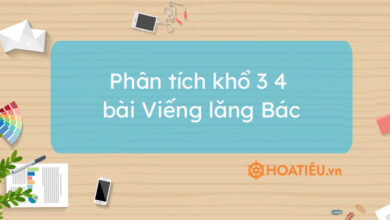 Top 4 mau phan tich kho 3 4 bai Vieng